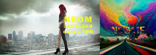 стаф Алзамай