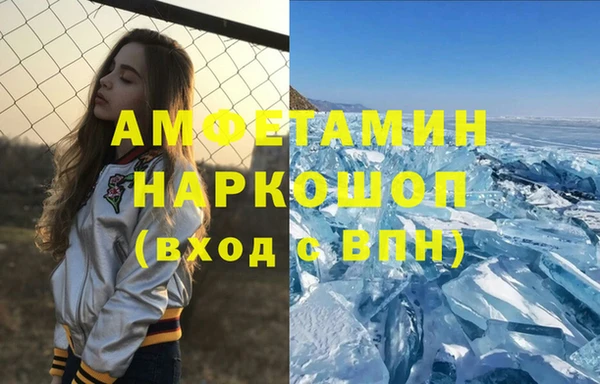 стаф Алзамай
