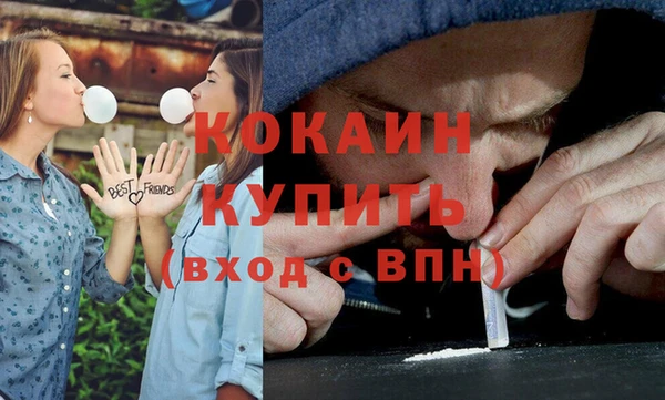 стаф Алзамай