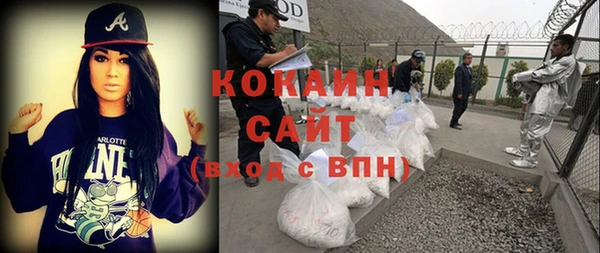 стаф Алзамай